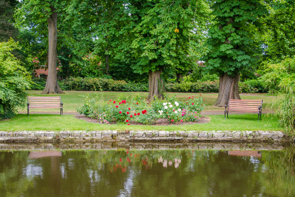 zwei Bänke vor einem Teich