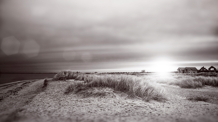 Dünen an der Ostsee