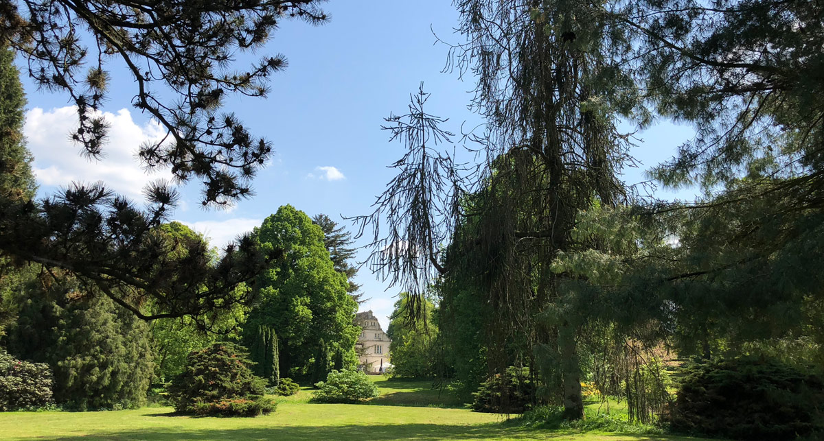 Schloss Muenchhausen Hochzeitsfotograf Hannover V