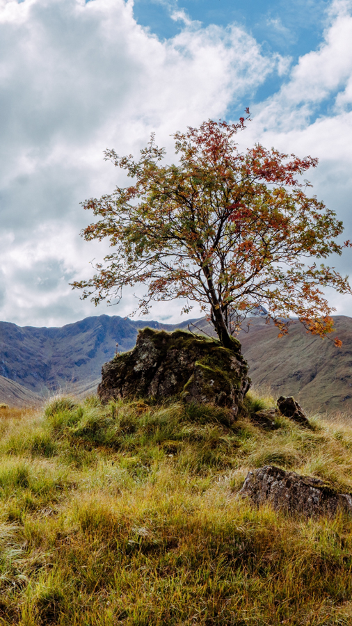 Hochzeitsfotograf Highlands II